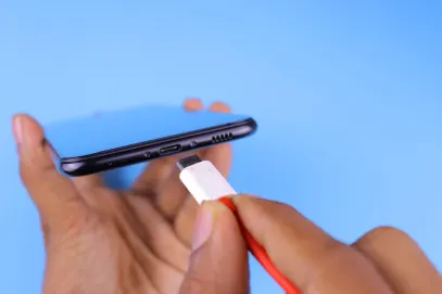 Winspark Casino Application mobile